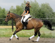 afro_galop